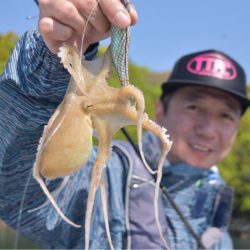 渡船屋たにぐち 釣果