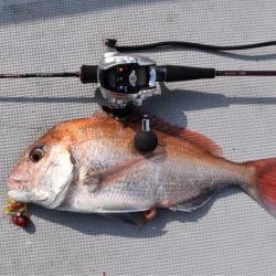 渡船屋たにぐち 釣果