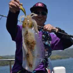 渡船屋たにぐち 釣果
