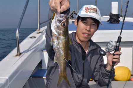 渡船屋たにぐち 釣果