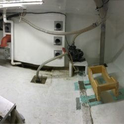 シーランチ 釣果