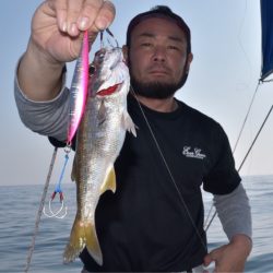渡船屋たにぐち 釣果
