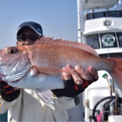 渡船屋たにぐち 釣果
