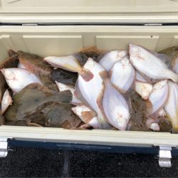 第二 つれたか丸 釣果