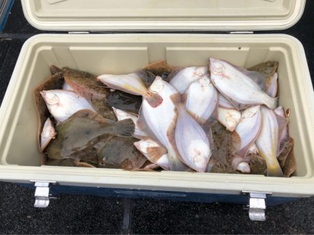 第二 つれたか丸 釣果