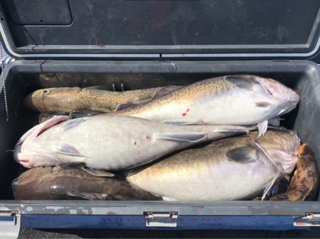 第二 つれたか丸 釣果