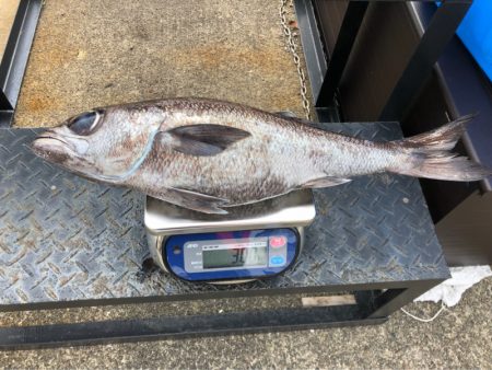 ＴＡＲＯＭＡＲＵ 釣果