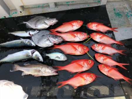 ＴＡＲＯＭＡＲＵ 釣果