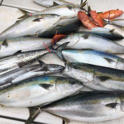 海楽隊 華栞丸 釣果