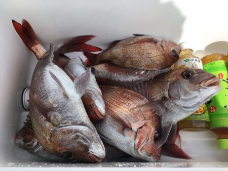 第二八坂丸 釣果