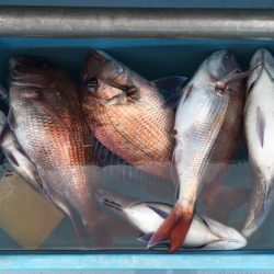 第二八坂丸 釣果