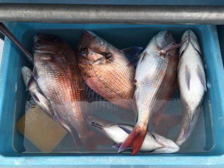 第二八坂丸 釣果