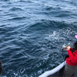 ＴＡＲＯＭＡＲＵ 釣果