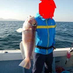 きずなまりん 釣果