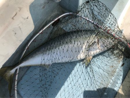 あみや渡船 JIGBOY 釣果