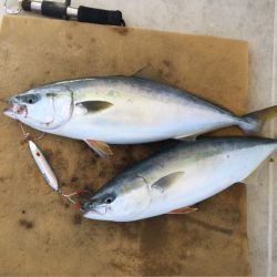 末広丸(熊本) 釣果