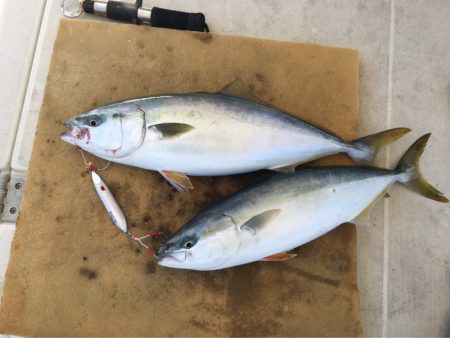 末広丸(熊本) 釣果