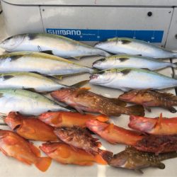 末広丸(熊本) 釣果