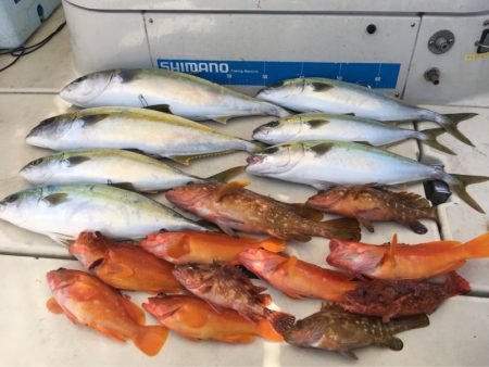 末広丸(熊本) 釣果