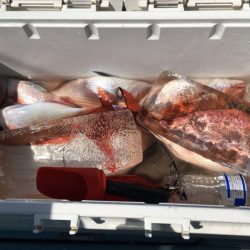 第二八坂丸 釣果