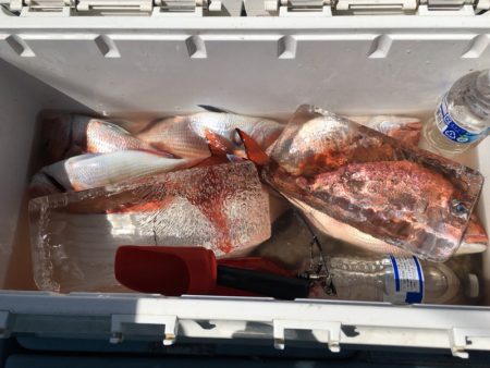 第二八坂丸 釣果