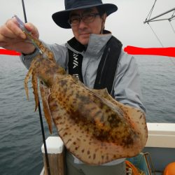 きずなまりん 釣果