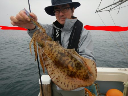 きずなまりん 釣果