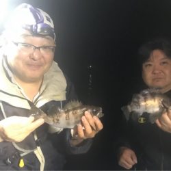 遊漁船メテオ 釣果
