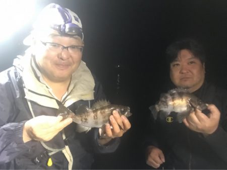遊漁船メテオ 釣果