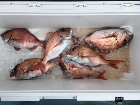 第二八坂丸 釣果