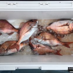 第二八坂丸 釣果