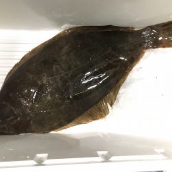 第二八坂丸 釣果