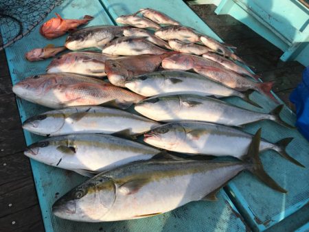 勝吉丸 釣果