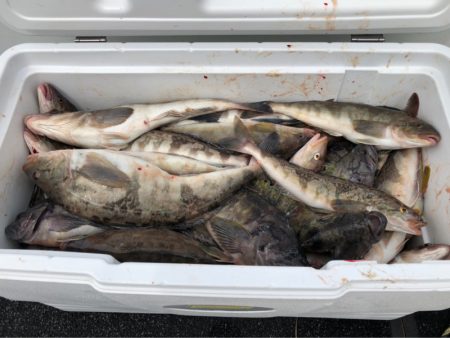 第二 つれたか丸 釣果