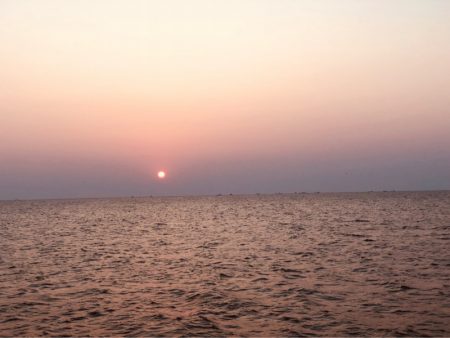 第二 つれたか丸 釣果