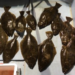 第二八坂丸 釣果