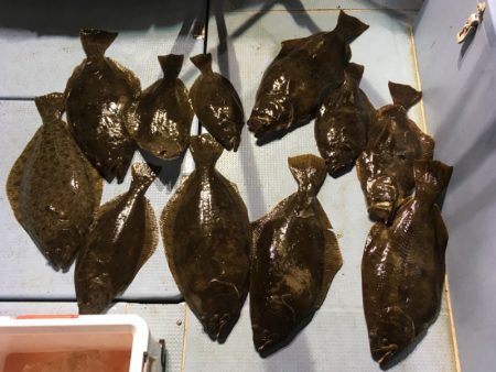 第二八坂丸 釣果