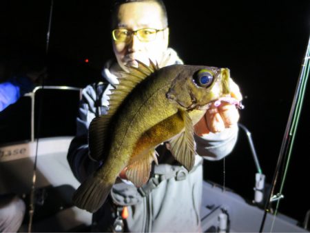 Chase（チェイス） 釣果