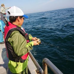 ありもと丸 釣果