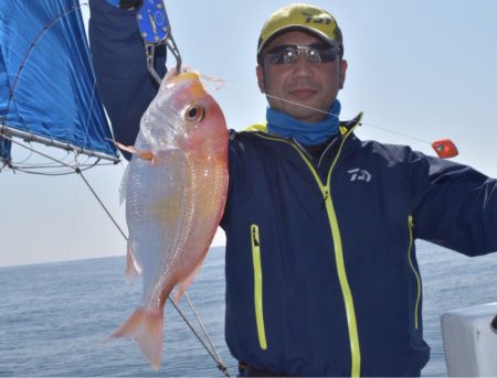 渡船屋たにぐち 釣果