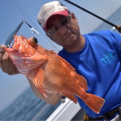渡船屋たにぐち 釣果