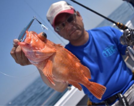 渡船屋たにぐち 釣果