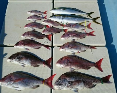 きずなまりん 釣果