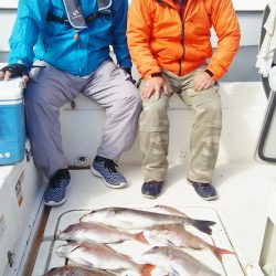 マリンガイド福丸 釣果