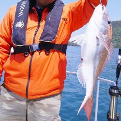 マリンガイド福丸 釣果