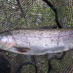 平谷湖フィッシングスポット 釣果