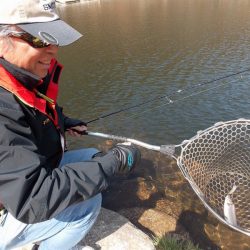 平谷湖フィッシングスポット 釣果