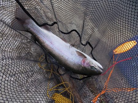 平谷湖フィッシングスポット 釣果