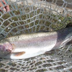 平谷湖フィッシングスポット 釣果