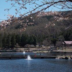 平谷湖フィッシングスポット 釣果